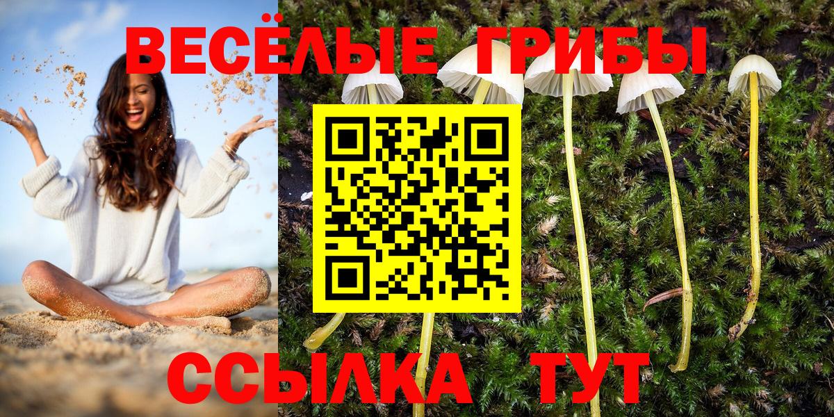 Чайковский  Галлюциногенные грибы ЛСД  Вход с VPN  Галлюциногенные грибы мухоморы 