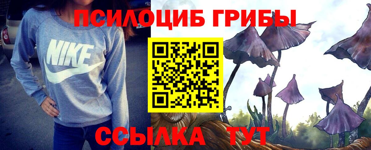 Псилоцибиновые грибы прущие грибы Чайковский